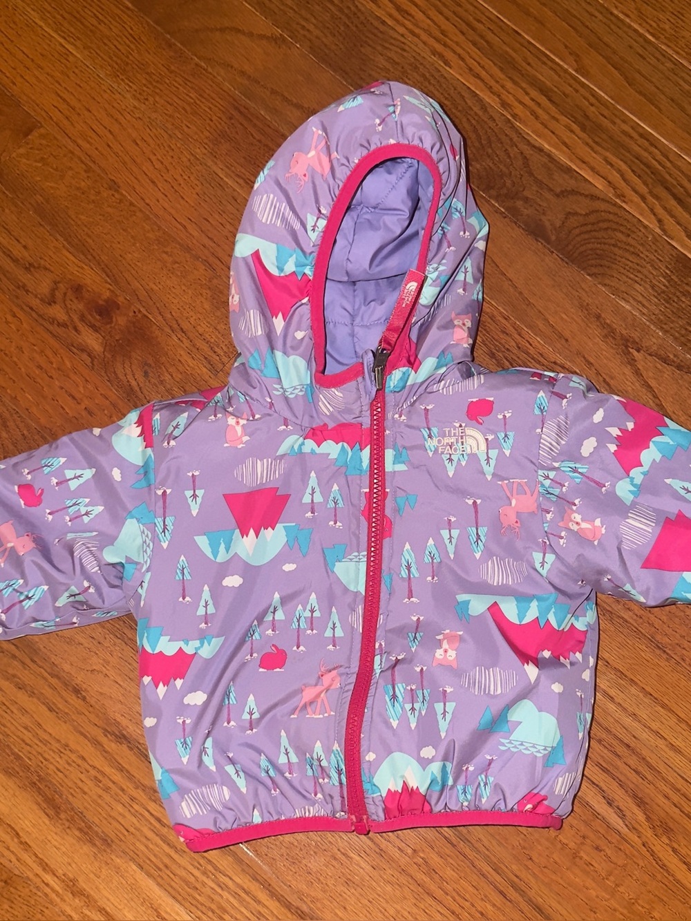 The North Face Purple Hooded Kids Puffer with Pink & Teal Print